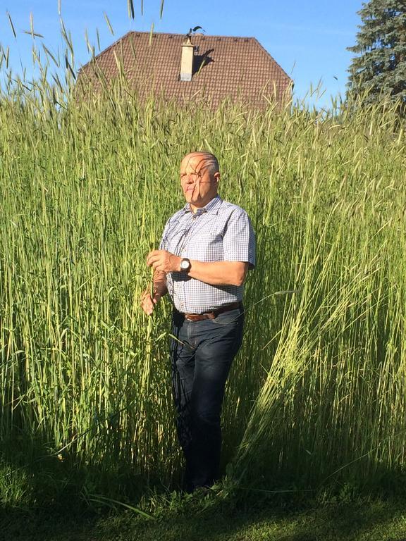 Biohof Sauschneider Appartement Sankt Margarethen im Lungau Buitenkant foto
